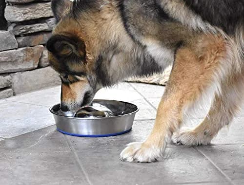 OurPets DuraPet Slow Feed Premium Stainless Steel Bowl (Heavyweight Durable Stainless Steel Bowls, Dog Food Bowl, and Dog Water Bowl) Great Alternative to Snuffle Mat for Dogs-Medium thumbnail 6