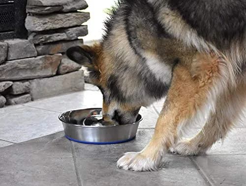 OurPets DuraPet Slow Feed Premium Stainless Steel Bowl (Heavyweight Durable Stainless Steel Bowls, Dog Food Bowl, and Dog Water Bowl) Great Alternative to Snuffle Mat for Dogs-Medium thumbnail 7