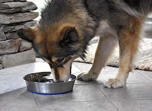 OurPets DuraPet Slow Feed Premium Stainless Steel Bowl (Heavyweight Durable Stainless Steel Bowls, Dog Food Bowl, and Dog Water Bowl) Great Alternative to Snuffle Mat for Dogs-Medium thumbnail 8