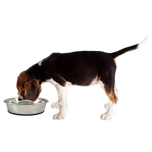 OurPets DuraPet Slow Feed Premium Stainless Steel Bowl (Heavyweight Durable Stainless Steel Bowls, Dog Food Bowl, and Dog Water Bowl) Great Alternative to Snuffle Mat for Dogs-Medium thumbnail 2