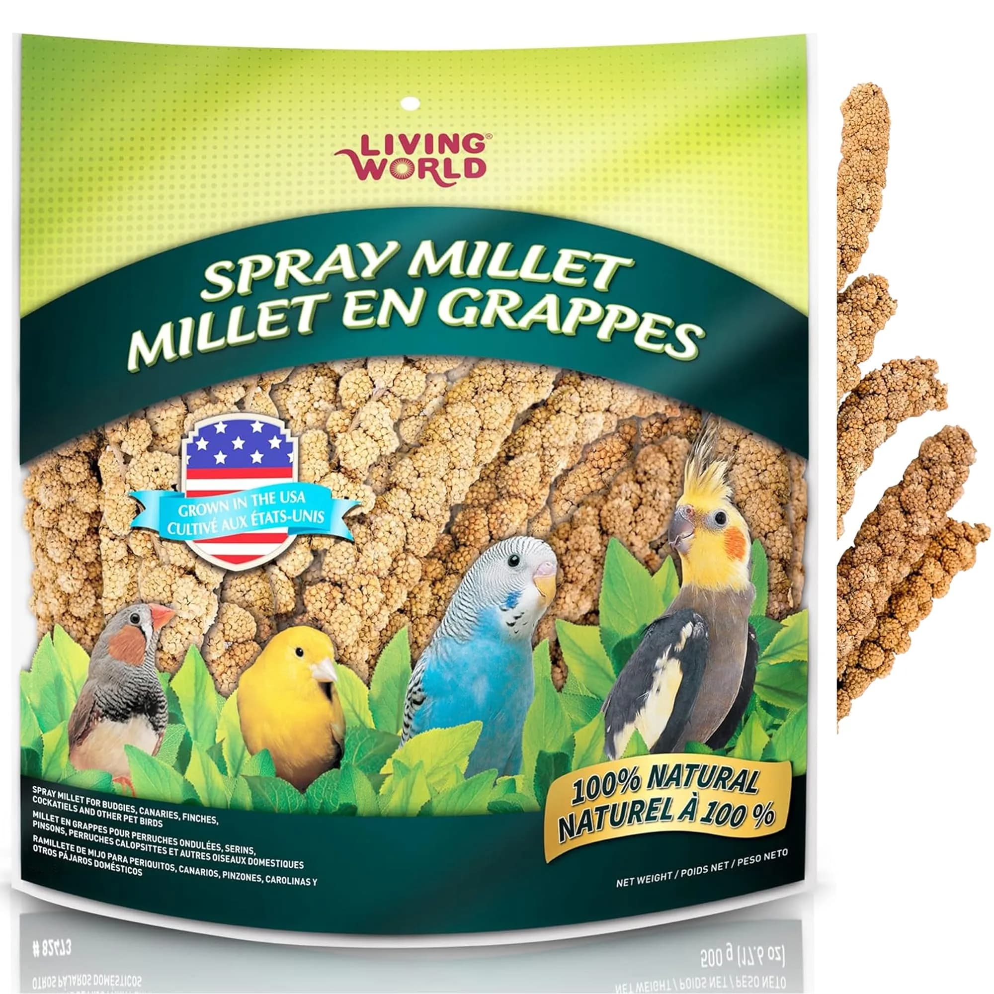 Living World Millet Spray for Birds 5 Pounds | Natural, Fresh & Nutritious Bird Treat — Brown