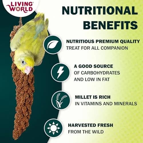 Living World Millet Spray for Birds 5 Pounds | Natural, Fresh & Nutritious Bird Treat thumbnail 2