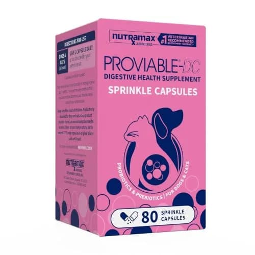 Nutramax Proviable Probiotics + Prebiotics for Dogs & Cats, Capsules, 80ct | Supports Gut Balance & Digestive Health thumbnail 1