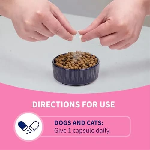 Nutramax Proviable Probiotics + Prebiotics for Dogs & Cats, Capsules, 80ct | Supports Gut Balance & Digestive Health thumbnail 5
