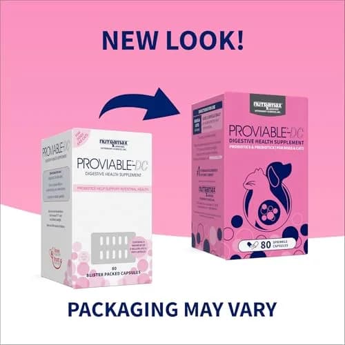 Nutramax Proviable Probiotics + Prebiotics for Dogs & Cats, Capsules, 80ct | Supports Gut Balance & Digestive Health thumbnail 2