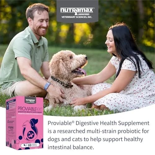 Nutramax Proviable Probiotics + Prebiotics for Dogs & Cats, Capsules, 80ct | Supports Gut Balance & Digestive Health thumbnail 3
