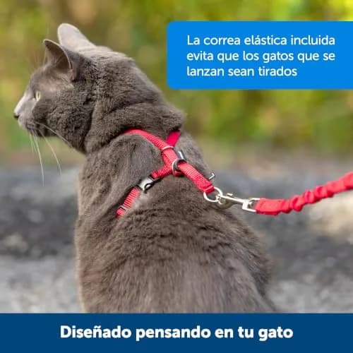 PetSafe Come With Me Kitty Harness and Bungee Leash, Medium, Black/Silver | Safe Outdoor Walks for Cats thumbnail 5