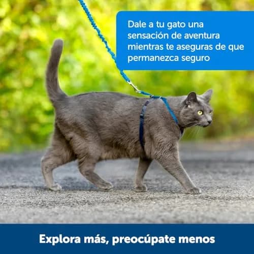 PetSafe Come With Me Kitty Harness and Bungee Leash, Medium, Black/Silver | Safe Outdoor Walks for Cats thumbnail 6