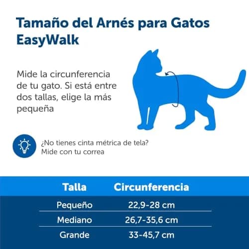 PetSafe Come With Me Kitty Harness and Bungee Leash, Medium, Black/Silver | Safe Outdoor Walks for Cats thumbnail 7