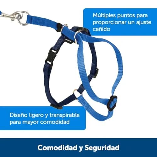 PetSafe Come With Me Kitty Harness and Bungee Leash, Medium, Black/Silver | Safe Outdoor Walks for Cats thumbnail 4