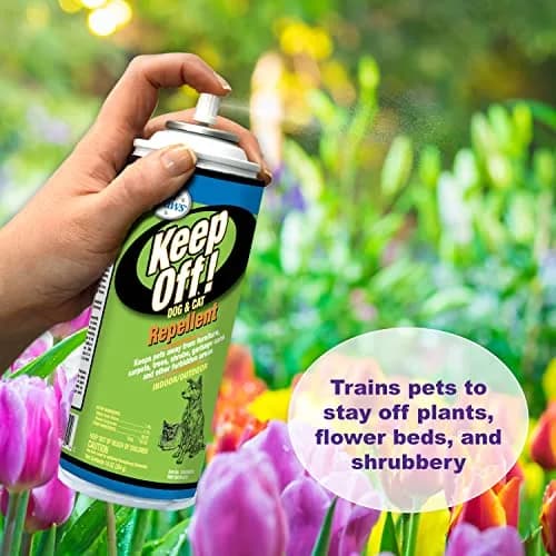 Four Paws Keep Off! Pet Repellent Spray for Outdoors & Indoors, Dog & Cat Chew & Scratch Deterrent, 296ml (10 fl oz) thumbnail 2