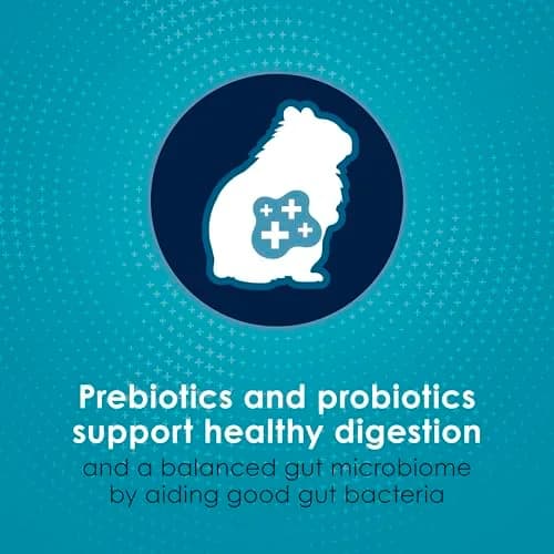 Kaytee Forti-Diet Pro Health Nourish+Protect Hamster & Gerbil Food 3 Pound | Supports Digestive & Immune Health thumbnail 5
