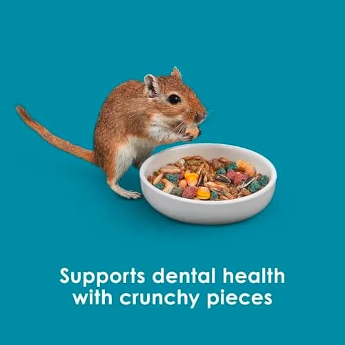 Kaytee Forti-Diet Pro Health Nourish+Protect Hamster & Gerbil Food 3 Pound | Supports Digestive & Immune Health thumbnail 8