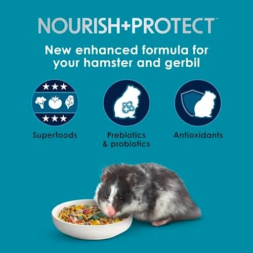 Kaytee Forti-Diet Pro Health Nourish+Protect Hamster & Gerbil Food 3 Pound | Supports Digestive & Immune Health thumbnail 3