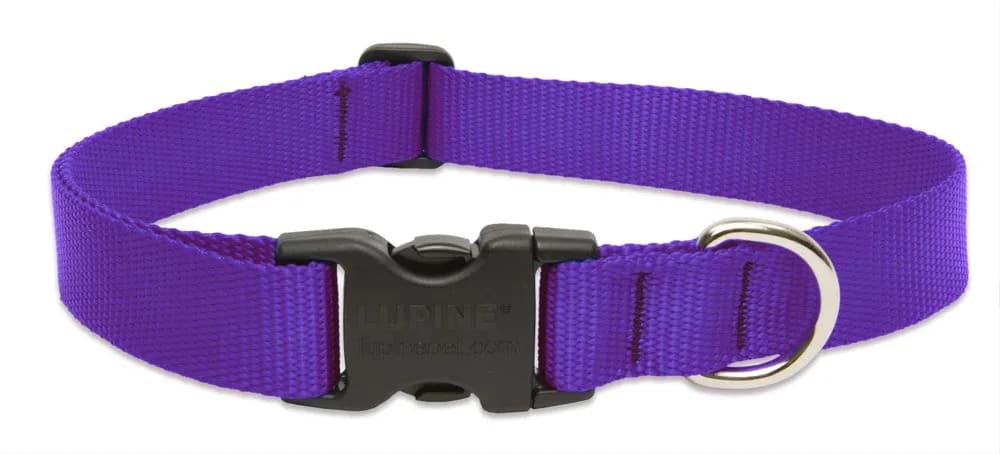 LupinePet Basics Purple Adjustable Dog Collar 2.54cm (1")W; 63.5-78.74cm (25-31") Neck | Guaranteed Even If Chewed