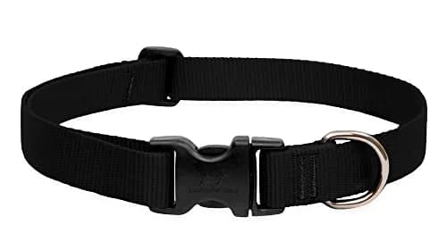 LupinePet Basics Black Adjustable Dog Collar 2.5cm (1") | 30-50cm (12-20") Neck Fit thumbnail 1
