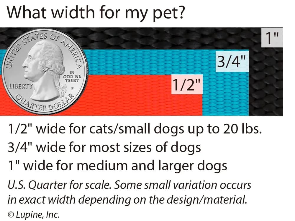 LupinePet Basics 1" Black 12-20" Adjustable Collar for Medium and Larger Dogs - view 3