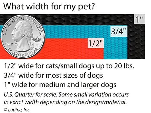 LupinePet Basics Black Adjustable Dog Collar 2.5cm (1") | 30-50cm (12-20") Neck Fit thumbnail 3