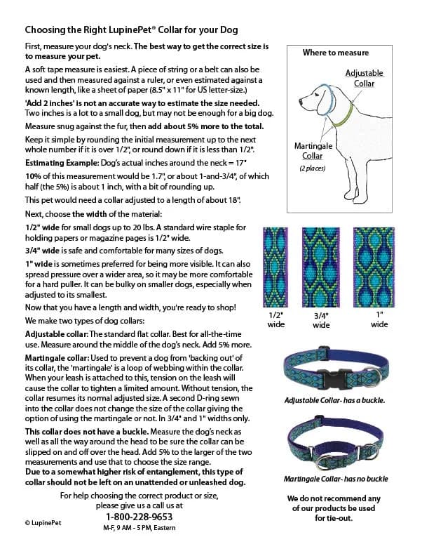 LupinePet Basics 1" Black 12-20" Adjustable Collar for Medium and Larger Dogs - view 4