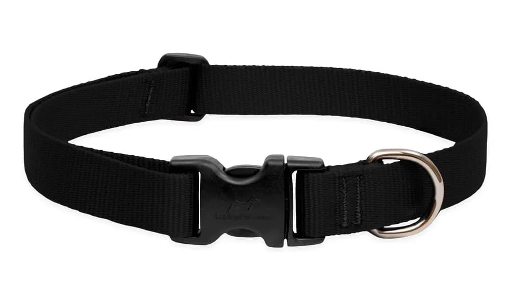 LupinePet Basics Purple Adjustable Dog Collar 2.54cm (1")W; 63.5-78.74cm (25-31") Neck | Guaranteed Even If Chewed — Solid