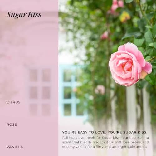 LALICIOUS Sugar Kiss® Whipped Body Butter 8oz | Ultra-Hydrating Shea & Hyaluronic Acid for Dry Skin thumbnail 5