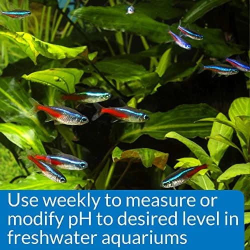API pH Test & Adjuster Kit 250-Test Freshwater Aquarium Water pH Test and Adjuster Kit | Monitors and Adjusts pH for Fish Health thumbnail 4