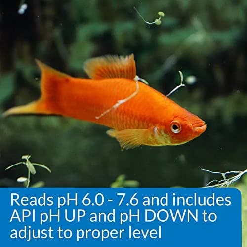 API pH Test & Adjuster Kit 250-Test Freshwater Aquarium Water pH Test and Adjuster Kit | Monitors and Adjusts pH for Fish Health thumbnail 5