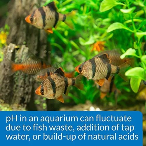 API pH Test & Adjuster Kit 250-Test Freshwater Aquarium Water pH Test and Adjuster Kit | Monitors and Adjusts pH for Fish Health thumbnail 6
