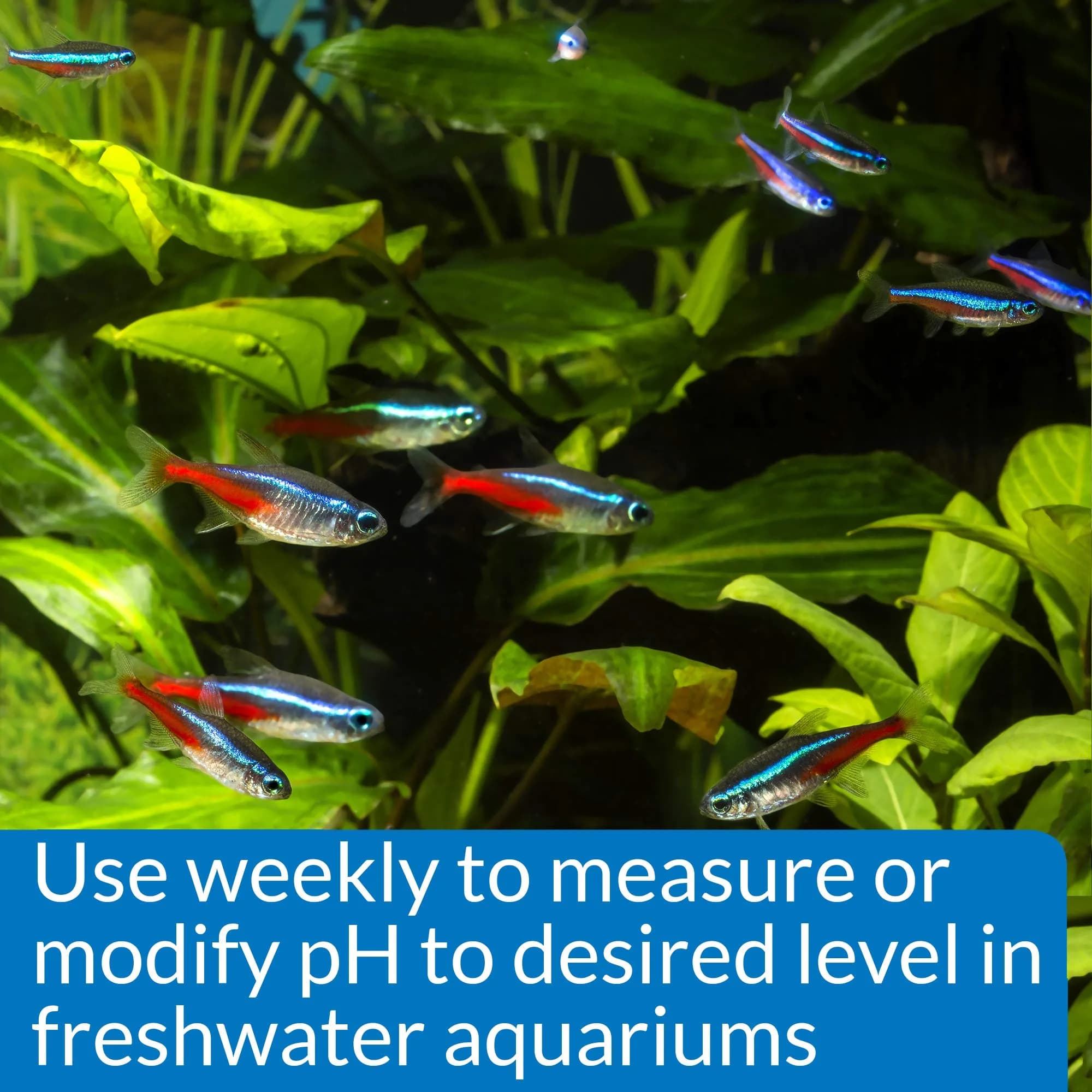 API pH Test & Adjuster Kit 250-Test Freshwater Aquarium Water pH Test and Adjuster Kit | Monitors and Adjusts pH for Fish Health - view 4