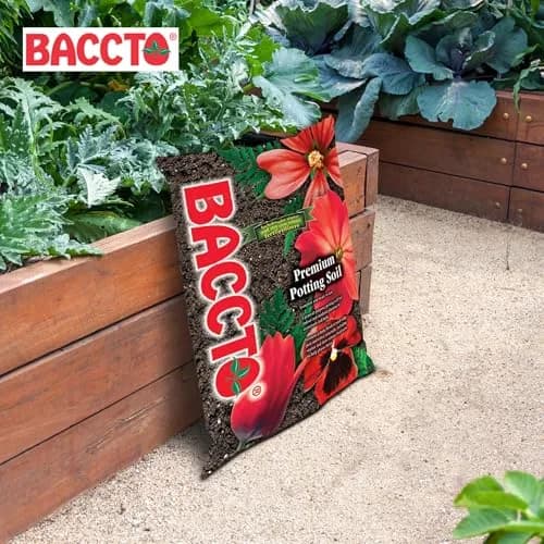BACCTO Michigan Peat General Purpose Premium Potting Soil with Perlite, 50 lb | All-Purpose Garden Soil for Healthy Plants thumbnail 9