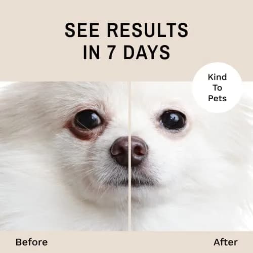 Eye Envy Tear Stain Remover Powder for Dogs and Cats 2.5 oz | Natural, Safe Formula for Tear Stains thumbnail 3