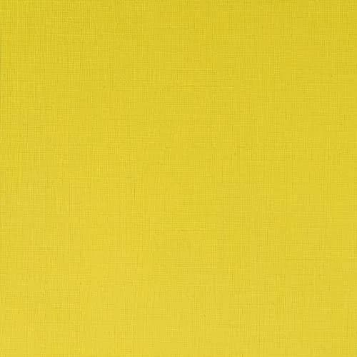 Winsor & Newton Professional Acrylic Paint Cadmium Lemon 60ml (2 Fl Oz) | ASTM D4236 Certified Opaque thumbnail 2