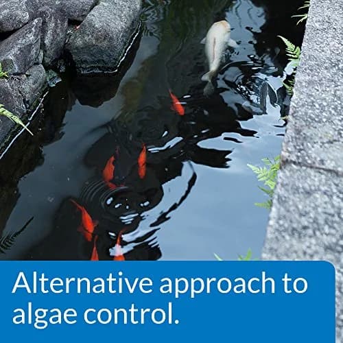 API PONDCARE MICROBIAL ALGAE CLEAN 16 oz Pond Treatment | Biological Algae Control for Water Gardens thumbnail 4