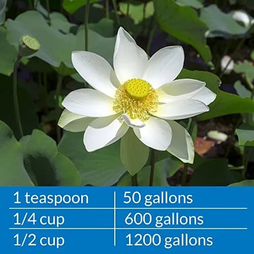 API PONDCARE MICROBIAL ALGAE CLEAN 16 oz Pond Treatment | Biological Algae Control for Water Gardens thumbnail 5