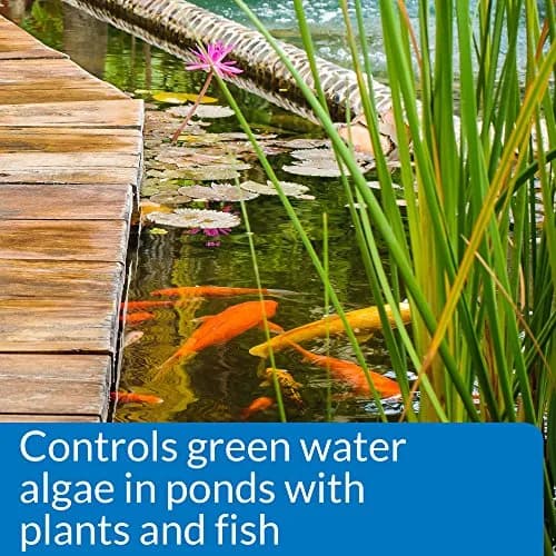 API PONDCARE MICROBIAL ALGAE CLEAN 16 oz Pond Treatment | Biological Algae Control for Water Gardens thumbnail 3