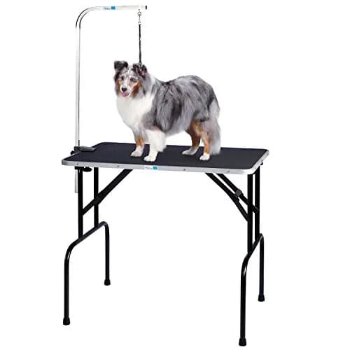 Master Equipment Heavy Duty Grooming Table with Arm | Supports Animals up to 220 lbs, Easy to Clean, Portable thumbnail 3