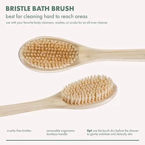 EcoTools Bath Bristle Brush, Long Handle Back Scrubber for Shower with Bamboo Handle | Gentle Exfoliation for Smooth Skin thumbnail 2