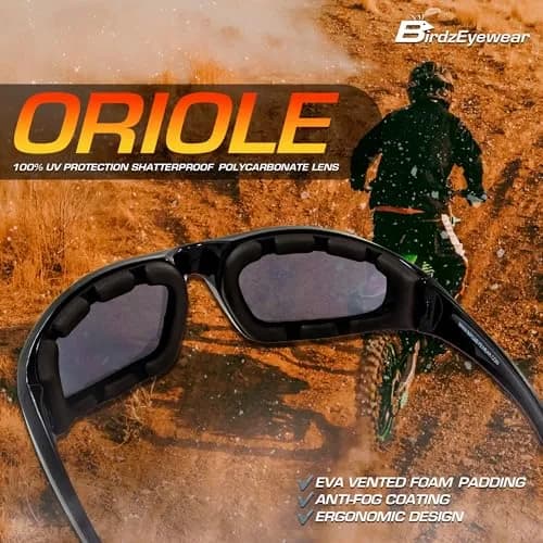 Birdz Eyewear Oriole Padded Motorcycle Glasses (Black Frame/Smoke Lens) | Shatterproof Anti-Fog Polycarbonate thumbnail 3