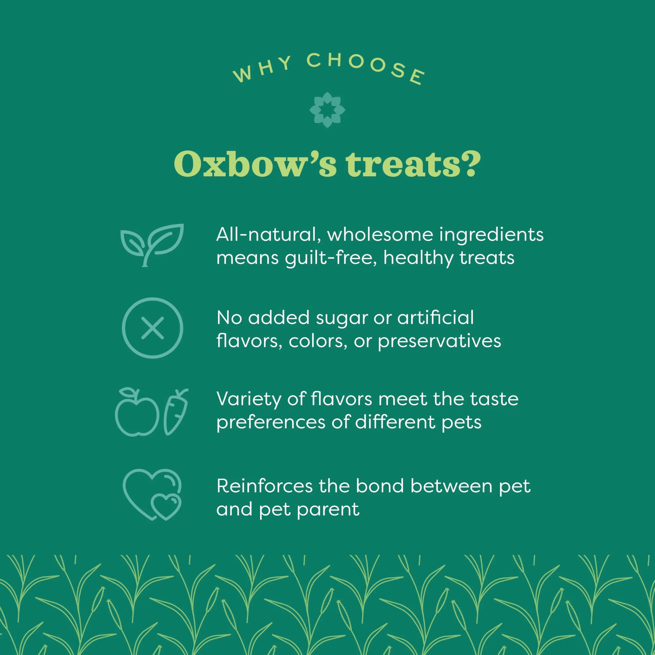 Oxbow Simple Rewards Timothy Treats for Small Pets, 1.4 oz (40g) | High-Fiber Hay Snacks for Digestive & Dental Health - view 2