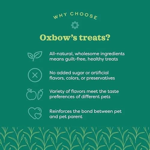 Oxbow Simple Rewards Timothy Treats for Small Pets, 1.4 oz (40g) | High-Fiber Hay Snacks for Digestive & Dental Health thumbnail 2