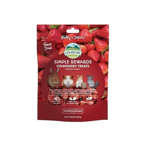 Oxbow Simple Rewards Freeze-Dried Strawberry Treats for Small Animals 14g (0.5 oz) | Single Ingredient, Vitamin C Rich thumbnail 1