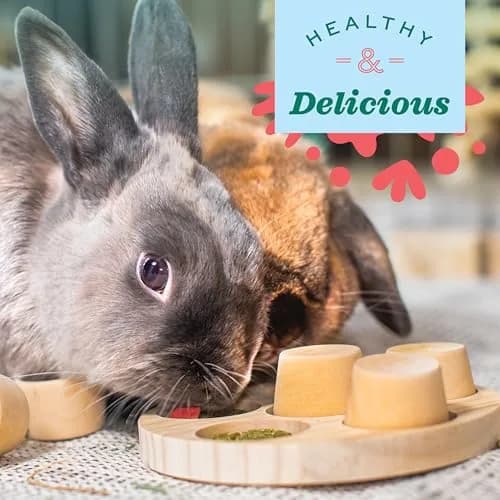 Oxbow Simple Rewards Freeze-Dried Strawberry Treats for Small Animals 14g (0.5 oz) | Single Ingredient, Vitamin C Rich thumbnail 5