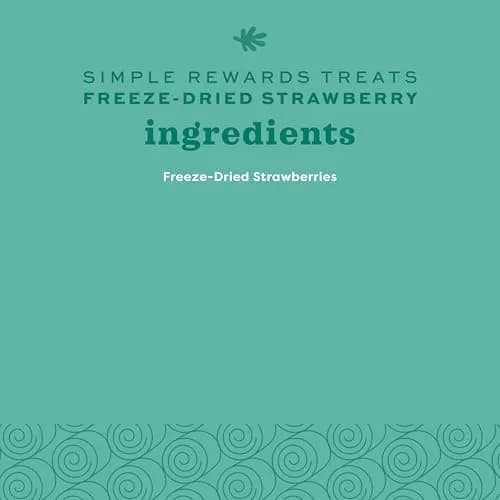 Oxbow Simple Rewards Freeze-Dried Strawberry Treats for Small Animals 14g (0.5 oz) | Single Ingredient, Vitamin C Rich thumbnail 7