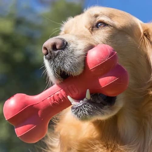 KONG Goodie Bone Natural Rubber Treat-Dispensing Dog Toy, Large, Red | Durable Chew Toy for Large Dogs thumbnail 2