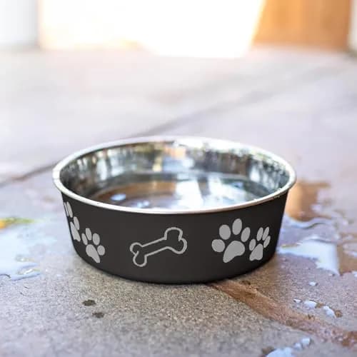 Loving Pets Bella Dog Bowls - Stainless Steel Spill Proof Pet Food & Water Bowl, Large 35-65 lbs, Espresso thumbnail 6