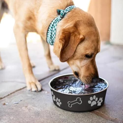 Loving Pets Bella Dog Bowls - Stainless Steel Spill Proof Pet Food & Water Bowl, Large 35-65 lbs, Espresso thumbnail 7