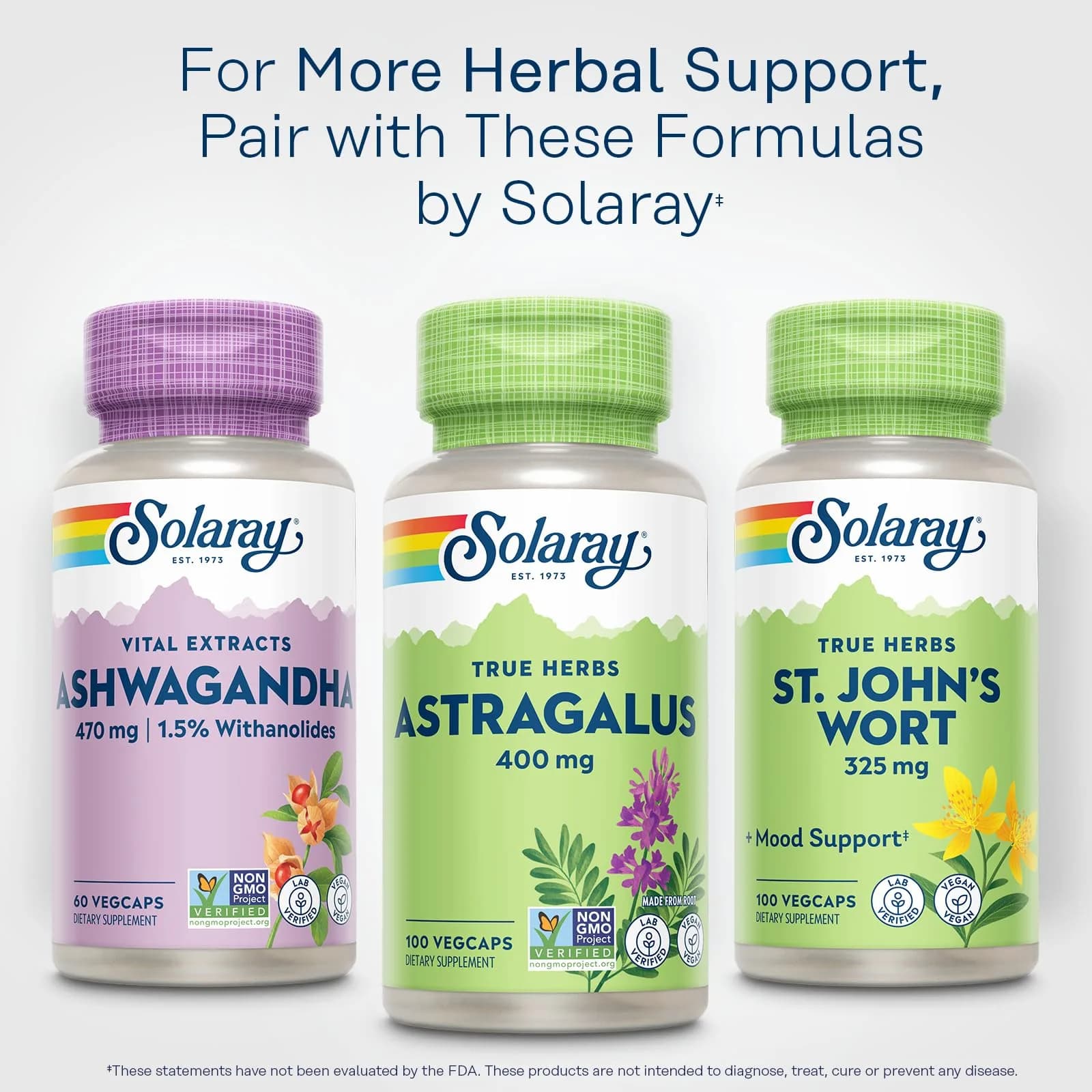 SOLARAY Astragalus Root 400mg VegCaps | Traditional Herbal Support for Stress & Immunity - view 6
