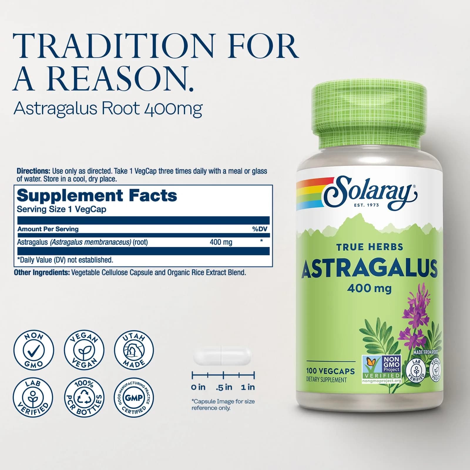 SOLARAY Astragalus Root 400mg VegCaps | Traditional Herbal Support for Stress & Immunity - view 2