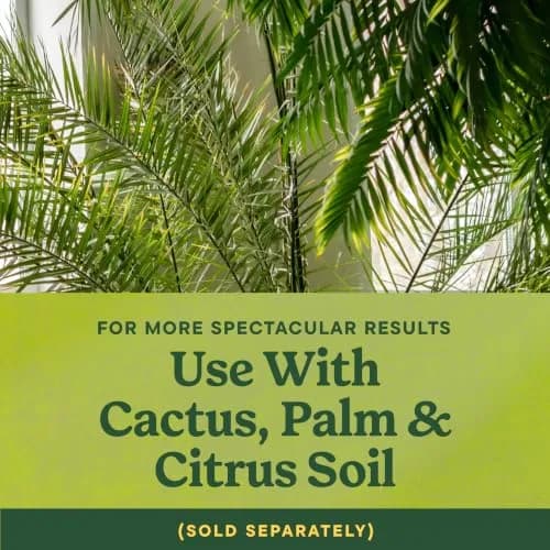 Miracle-Gro Shake 'N Feed Palm Plant Food, 8 lb. | Supports lush palms & tropicals thumbnail 4