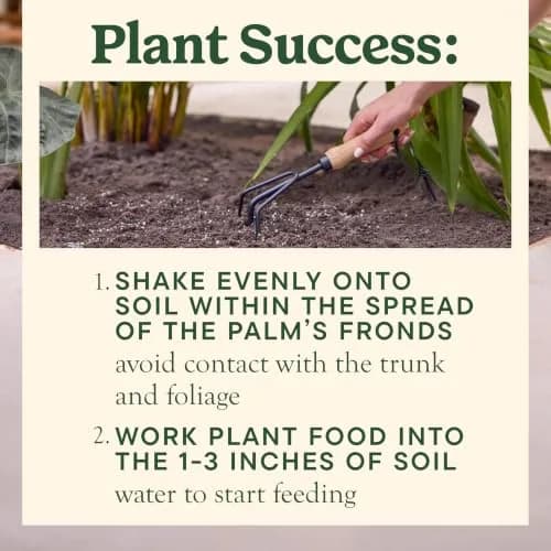 Miracle-Gro Shake 'N Feed Palm Plant Food, 8 lb. | Supports lush palms & tropicals thumbnail 5